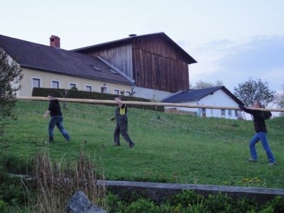 Maibaum Aufstellen