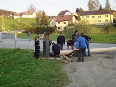 Maibaum Aufstellen